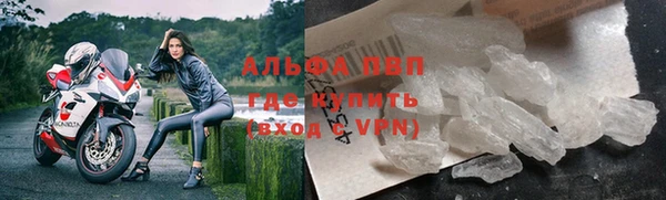 соль ск Ельня