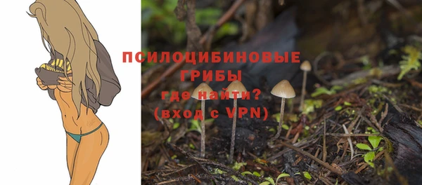гашиш Елабуга