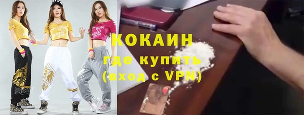 соль ск Ельня