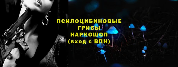 соль ск Ельня