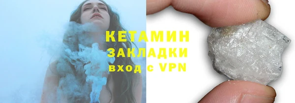 соль ск Ельня