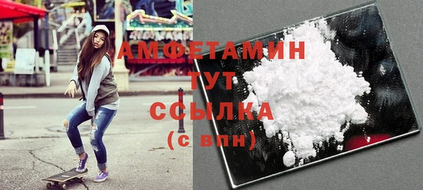 соль ск Ельня