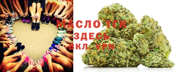 соль ск Ельня