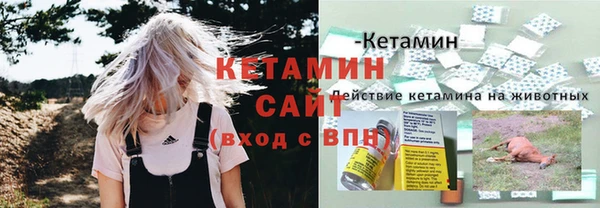 соль ск Ельня