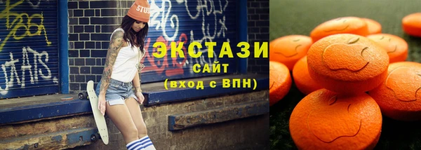 соль ск Ельня