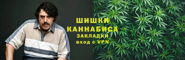 соль ск Ельня