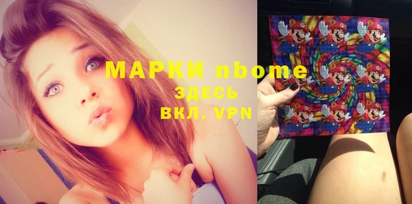 соль ск Ельня
