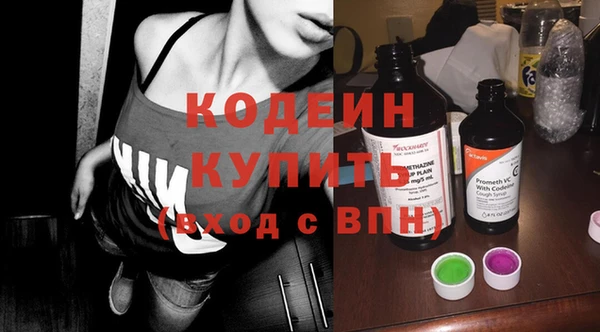 соль ск Ельня