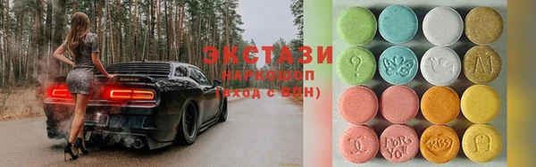 соль ск Ельня